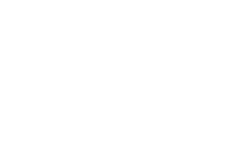 Winner - The New York Science Fiction and Horror Film Festival - 2024_white
